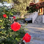 Panorama アパート エレトリア