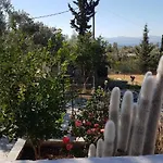 Panorama エレトリア
