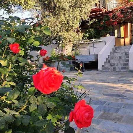 Panorama Apartman Erétria