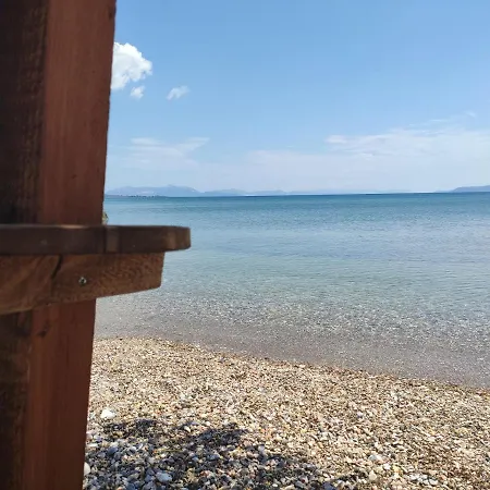 Panorama *