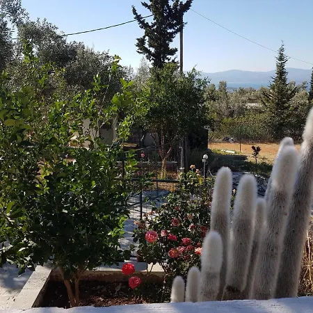 Panorama Erétria