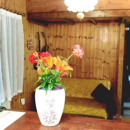 Panorama Apartment *